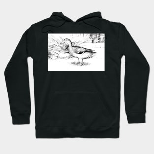 Mallard Duck Digitally Enhanced In Black And White Hoodie